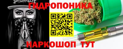 шишки Краснокаменск
