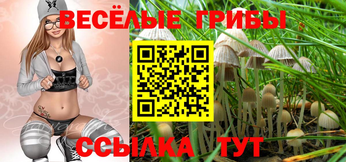 Казань  Галлюциногенные грибы Psilocybe  Вход с VPN 
